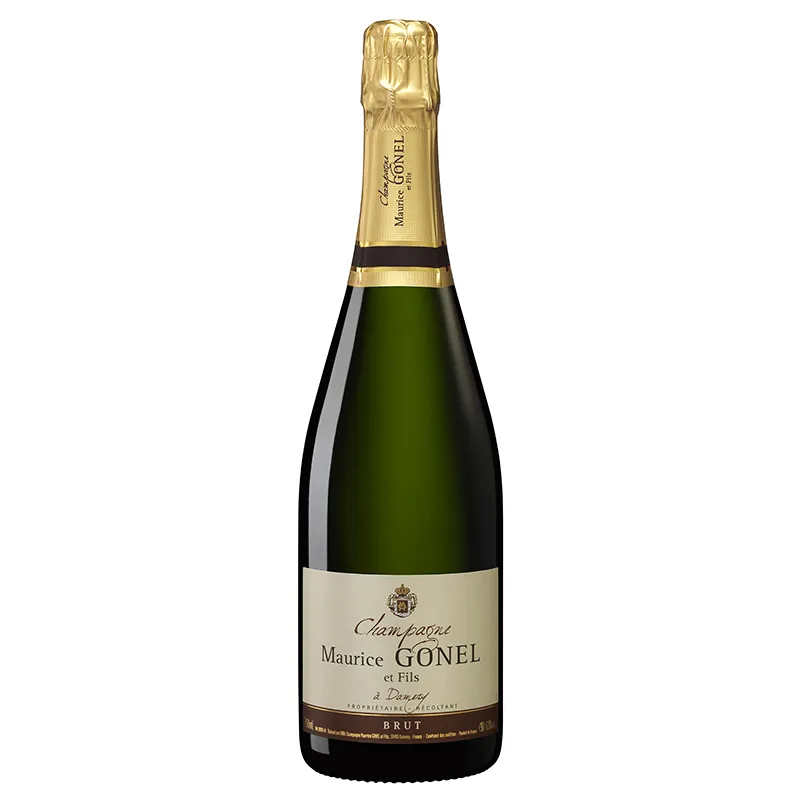[Cham_101504] Maurice GONEL - Brut