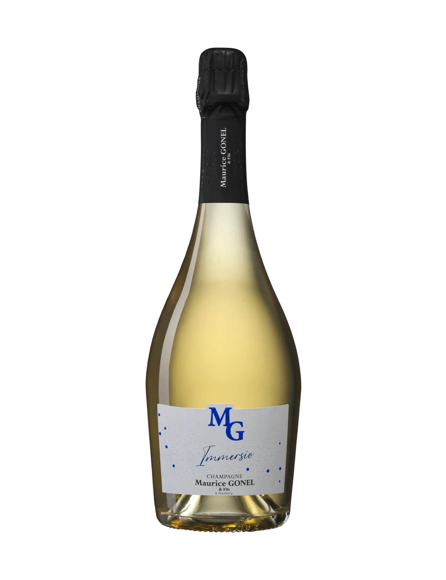 [Cham_101508] Maurice GONEL - Immersio
