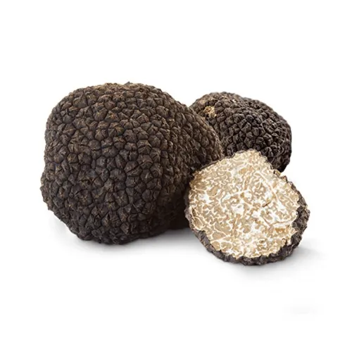 [Truf_300121] Tuber Aestivum - Sommertrøfler  (50 g)